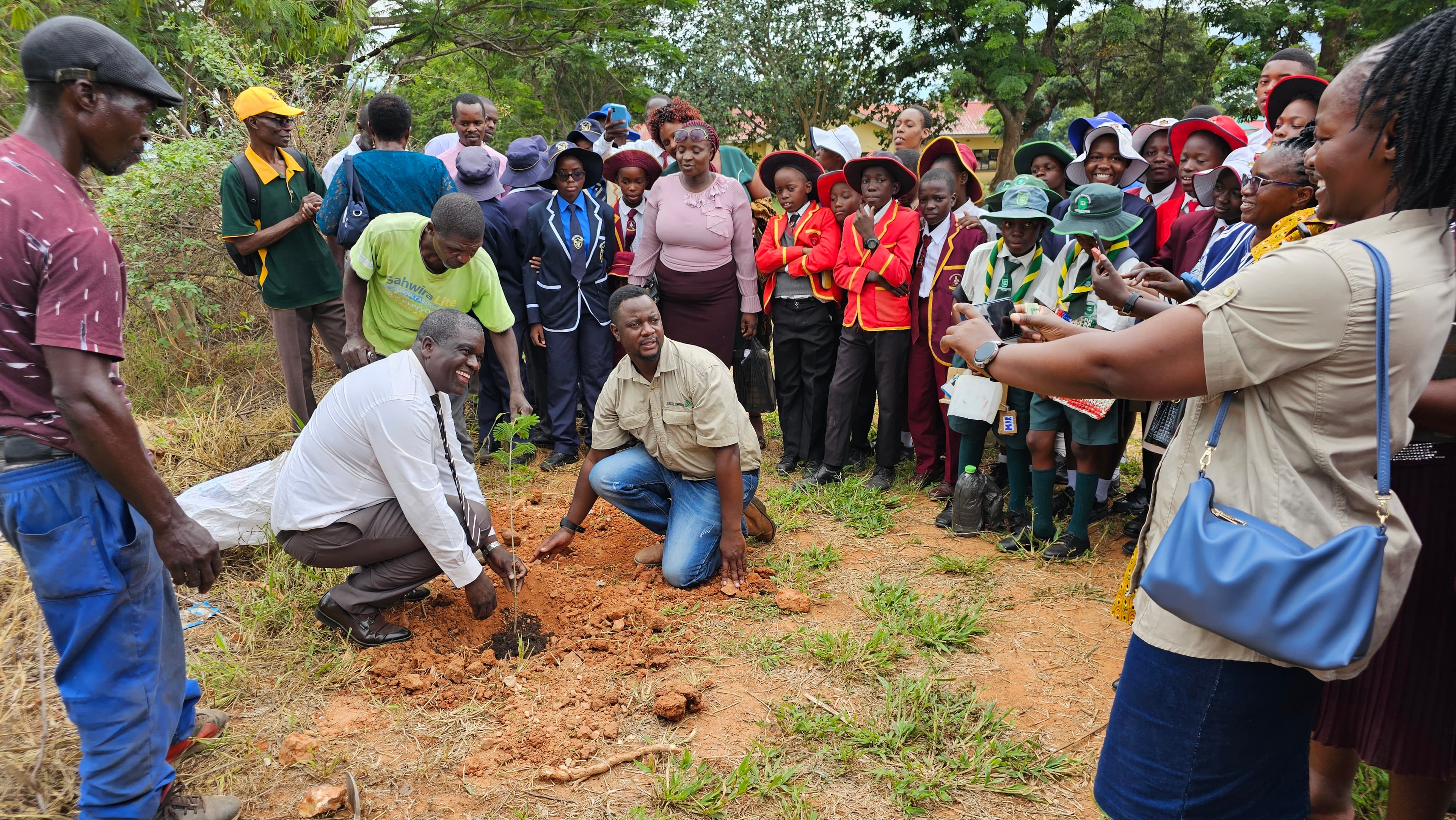 Planting trees