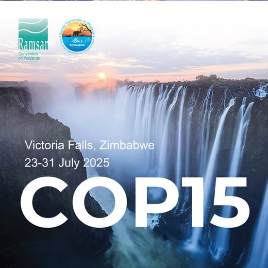 COP15